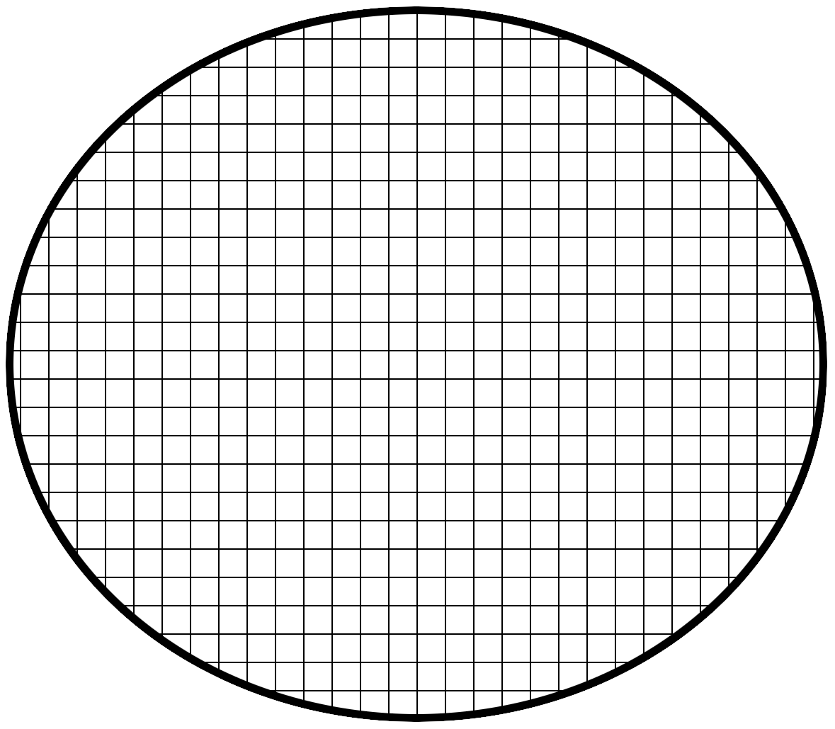 Confocal microscopy size scale.